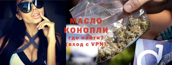 дмт Ладушкин